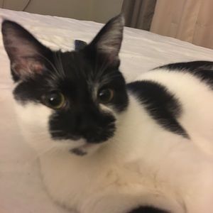 Meet your Posher, Krista